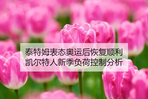 泰特姆表态奥运后恢复顺利 凯尔特人新季负荷控制分析
