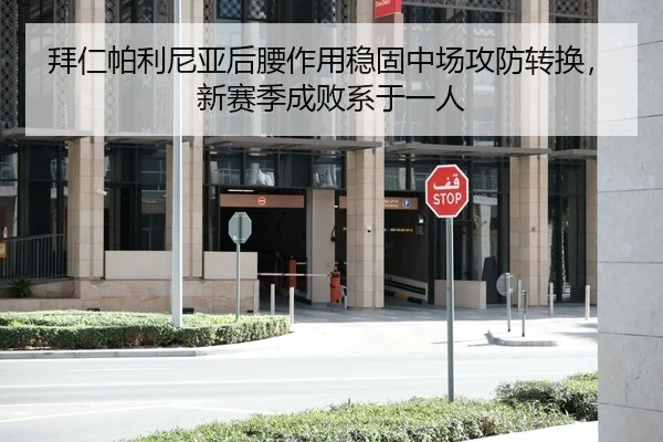 拜仁帕利尼亚后腰作用稳固中场攻防转换，新赛季成败系于一人